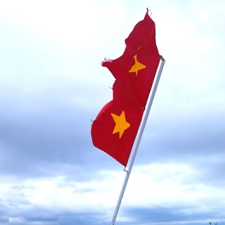 Telegram profile photo for Vietnam RUS channel