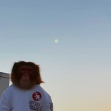 Telegram profile photo for Bio Klevatos