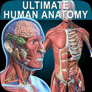 Telegram profile photo for 💀💉Anatomy 48
