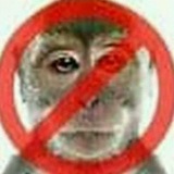 Telegram profile photo for mxrtE Trading Diary