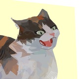 Telegram profile photo for Rassstrov