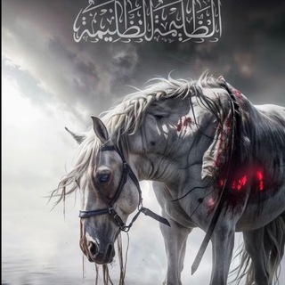 Telegram profile photo for أَهْلُ الْبَيْتِ🌹