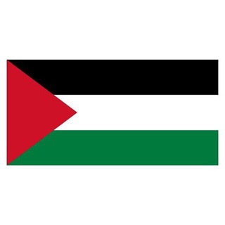 Telegram profile photo for OTP Bot Palestine v1.0