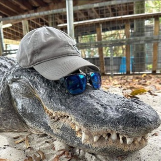 Telegram profile photo for One soul 🐊