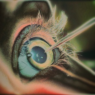 Telegram profile photo for ЭФА.repentance