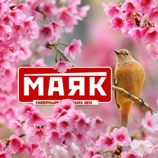 Telegram profile photo for Маяк Южно-Сахалинск Холмская 45