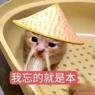 Telegram profile photo for 鼠条酱の奇妙历险记