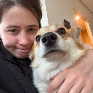 Telegram profile photo for Авито Бомбито. Сэйл