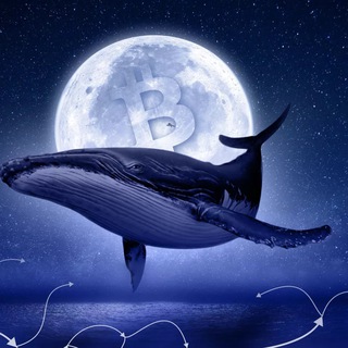 Telegram profile photo for Криптокиты 🐳