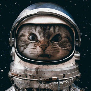 Telegram group profile photo for Приют одичалого Плиточника