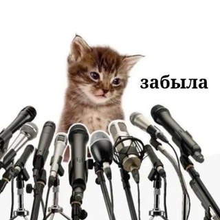 Telegram profile photo for воровка мемов