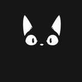 Telegram profile photo for Leopard Net