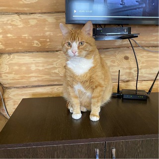 Telegram profile photo for Дача на Грязнухе