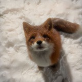 Telegram profile photo for 🦊•liᴋsiᴋi•🦊