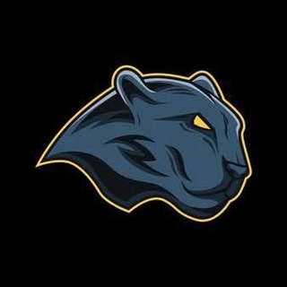 Telegram group profile photo for Pantera dos Sinais - FREE 🔥🥇