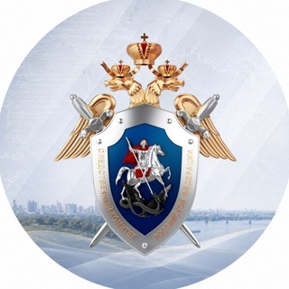 Telegram profile photo for Волгоградский Следком
