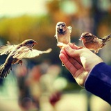 Telegram profile photo for ДоброSvalo4ka