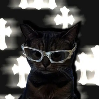 Telegram profile photo for Xitrofucked