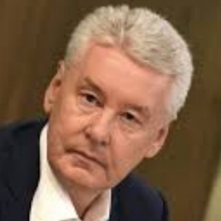 Telegram profile photo for Собянин и москвичи: Схемы по человейникам