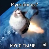 Telegram profile photo for щитпост это ты? |+18
