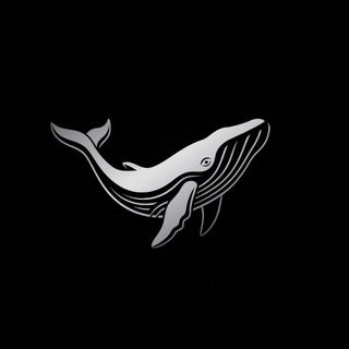 Telegram profile photo for Nordwhale Capital