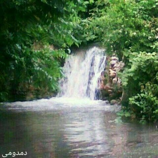 Telegram profile photo for اخبار روز آبلو