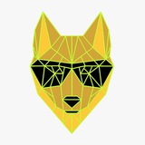 Telegram profile photo for DINGO TOKEN ANNOUNCEMENT