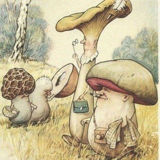 Telegram group profile photo for 🌲🍄🌳PILZFREUNDE🌳🍄🌲