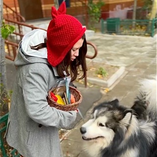 Telegram profile photo for Многомут и все-все-все