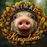 Telegram profile photo for Anima.l.Kingdom