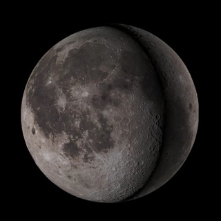 Telegram profile photo for Moon