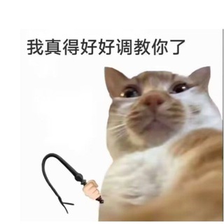 Telegram profile photo for Sad公益科技通知频道
