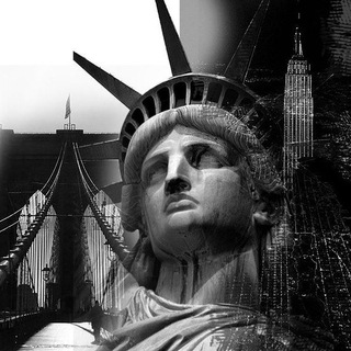 Telegram profile photo for Professor Trades