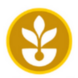 Telegram profile photo for Rx SeedCoin