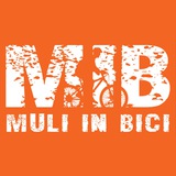 Telegram profile photo for MIB Trieste