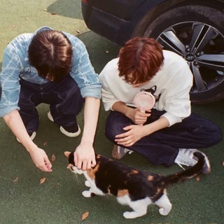 Telegram profile photo for vp/coop with nichojoo