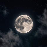 Telegram profile photo for تحفيظ قرآن كريم رواية قالون عن نافع تعليم احكام التجويد ومخارج الحروف