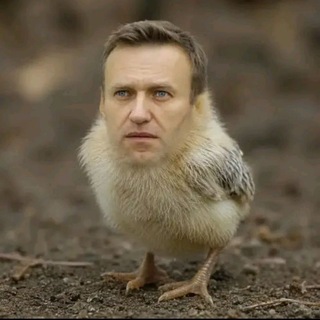 Telegram profile photo for ьіюієбв😂