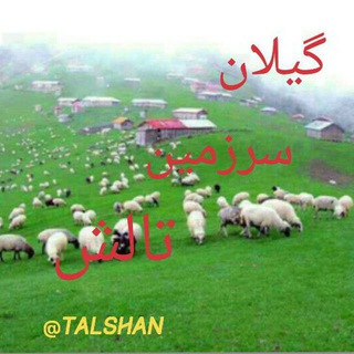 Telegram profile photo for 🌹گیلان:سرزمین ، تالش🌹