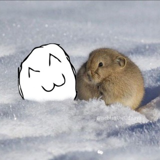 Telegram profile photo for Творческое Объедение "СОЯ"