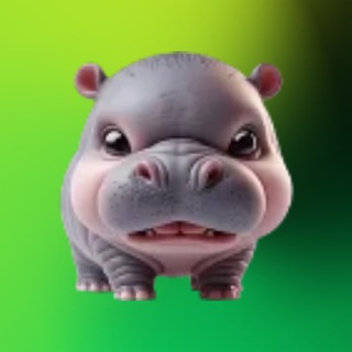 Telegram profile photo for Forgot VV Chat