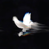 Telegram profile photo for 𝐁𝐈𝐎 | 𝘒𝘳𝘪𝘱_𝘶𝘴