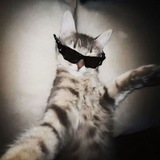 Telegram profile photo for Выживаем как можем✌️