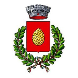 Telegram profile photo for Comune di Dipignano ๐ฉ๐