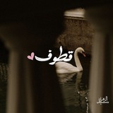 Telegram profile photo for _قُطوف|♡.