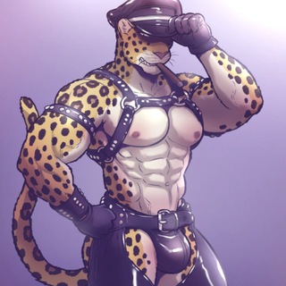 Telegram profile photo for Furry Gear