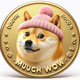 Telegram profile photo for MEME COIN SIGNAL