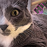Telegram profile photo for наша жизнь?