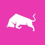 Telegram profile photo for Official SuperBullsNFT Communication Channel