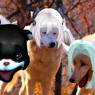 Telegram profile photo for LamaoMEMao all games
